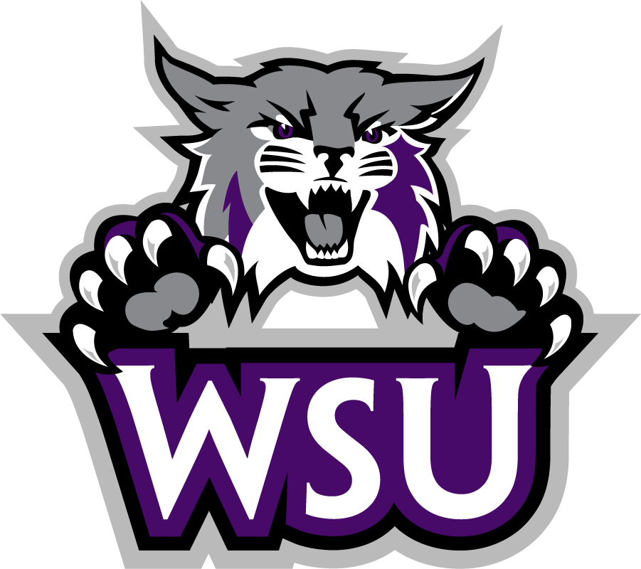 Weber State Wildcats 2012-Pres Secondary Logo diy iron on heat transfer